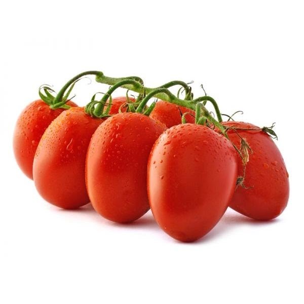 بذر گوجه فرنگی ۶۱۶۱