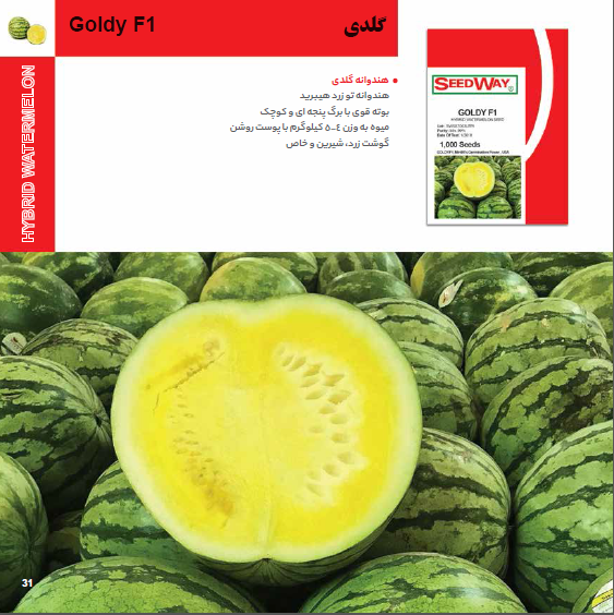 بذر هندوانه گلدی