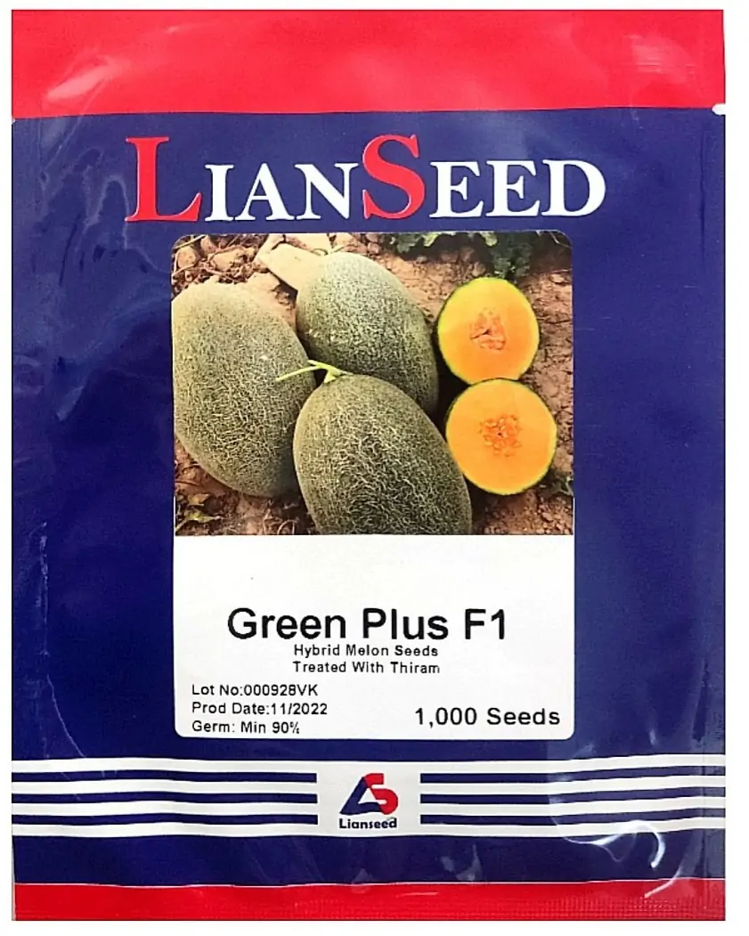 بذر خربزه گرین