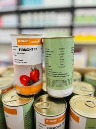 بذر گوجه فرنگی فرمونت