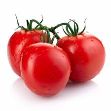 بذر گوجه پربار و صادراتی