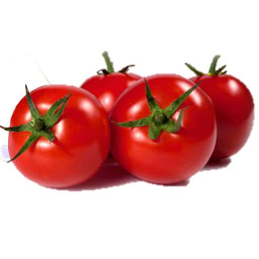 بذر گوجه اولا