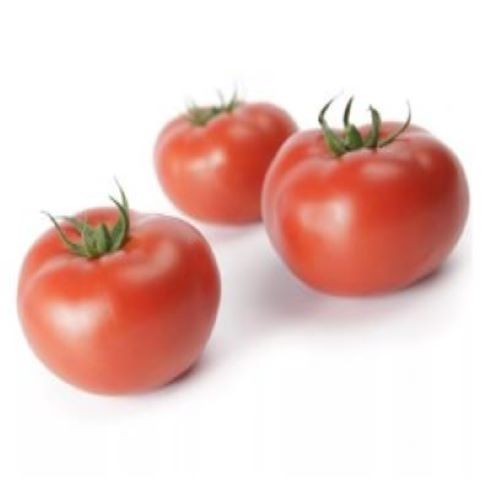 بذر گوجه طلا