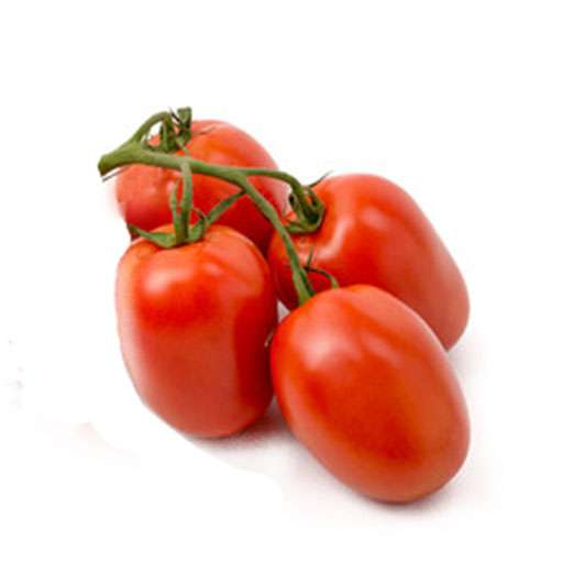 بذر گوجه فرنگی هنگام