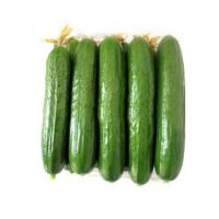 بذر خیار سلیل