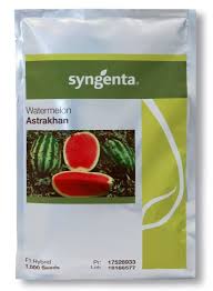 بذر هندوانه کریمسون سوئیت استاراخان