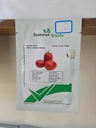 بذر گوجه زودرس چلیک