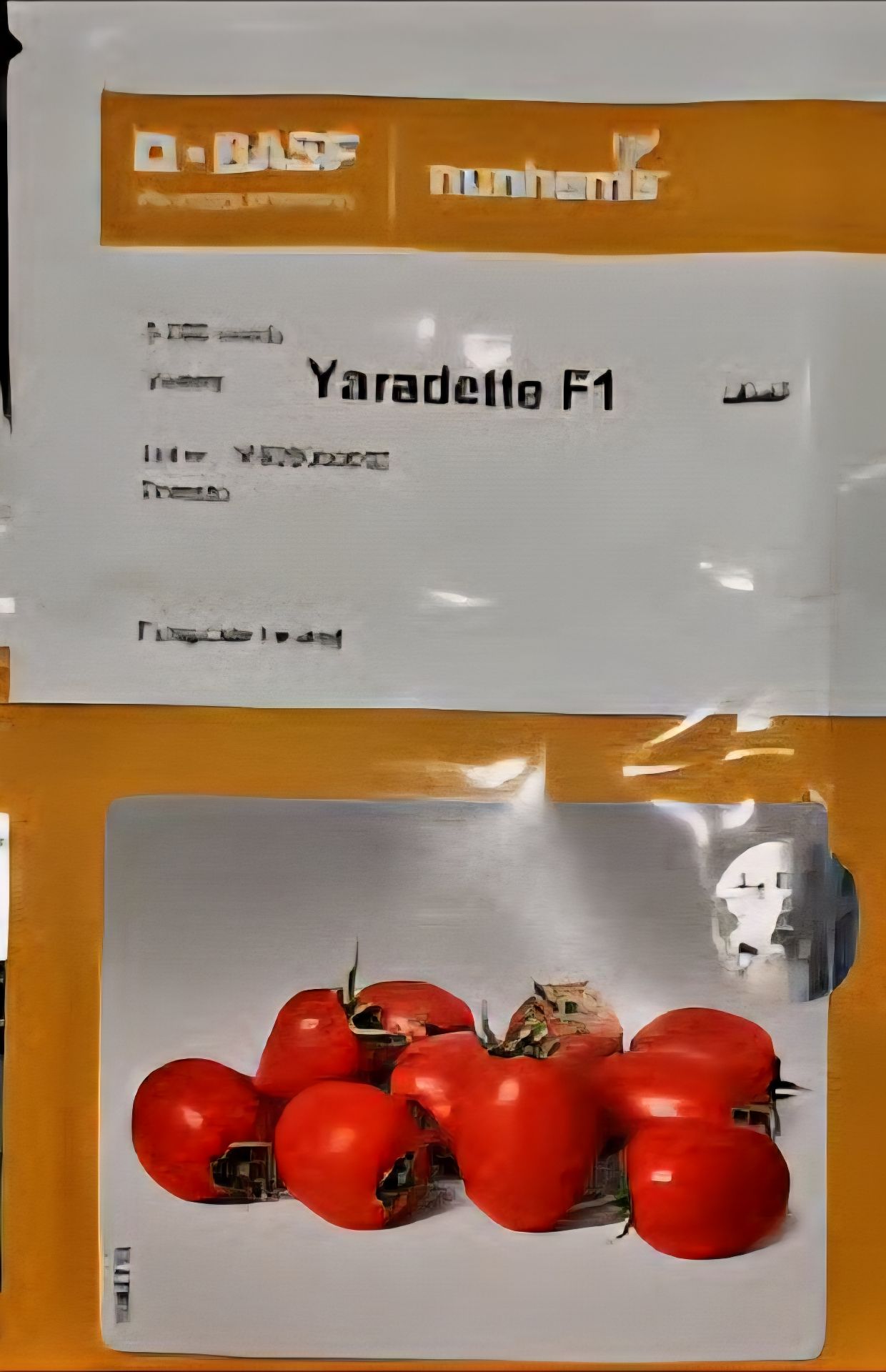 بذر گوجه فرنگی یاردات