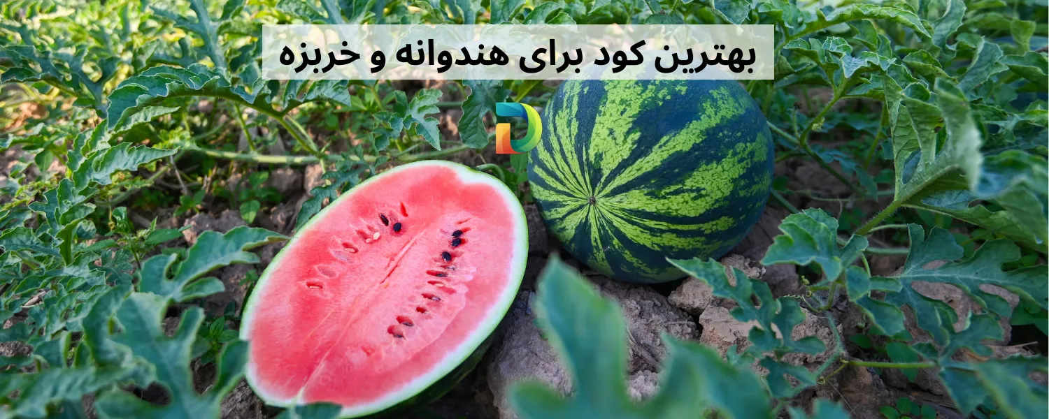 برنامه کود دهی هندوانه