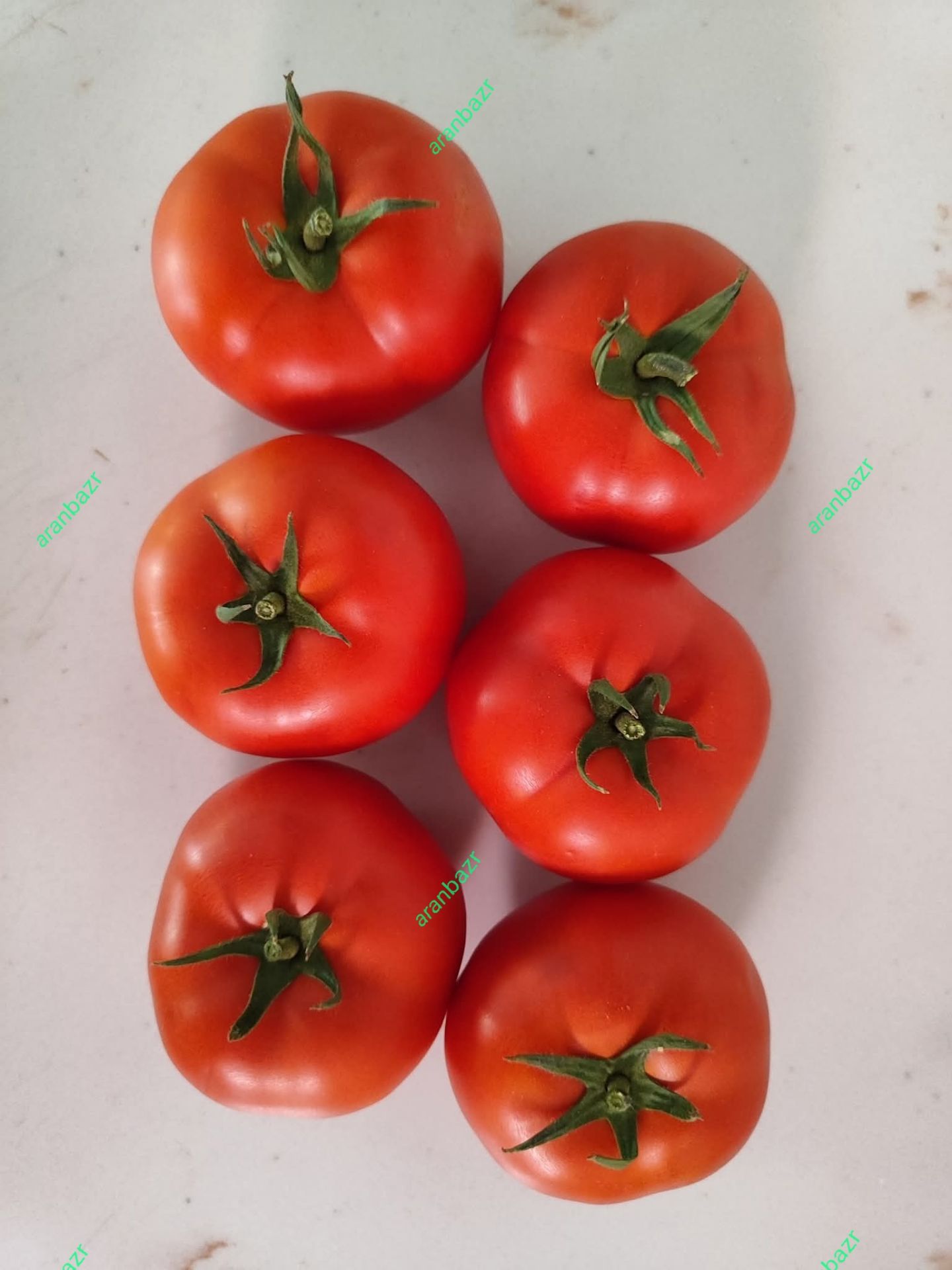 بذر گوجه فرنگی تارلا