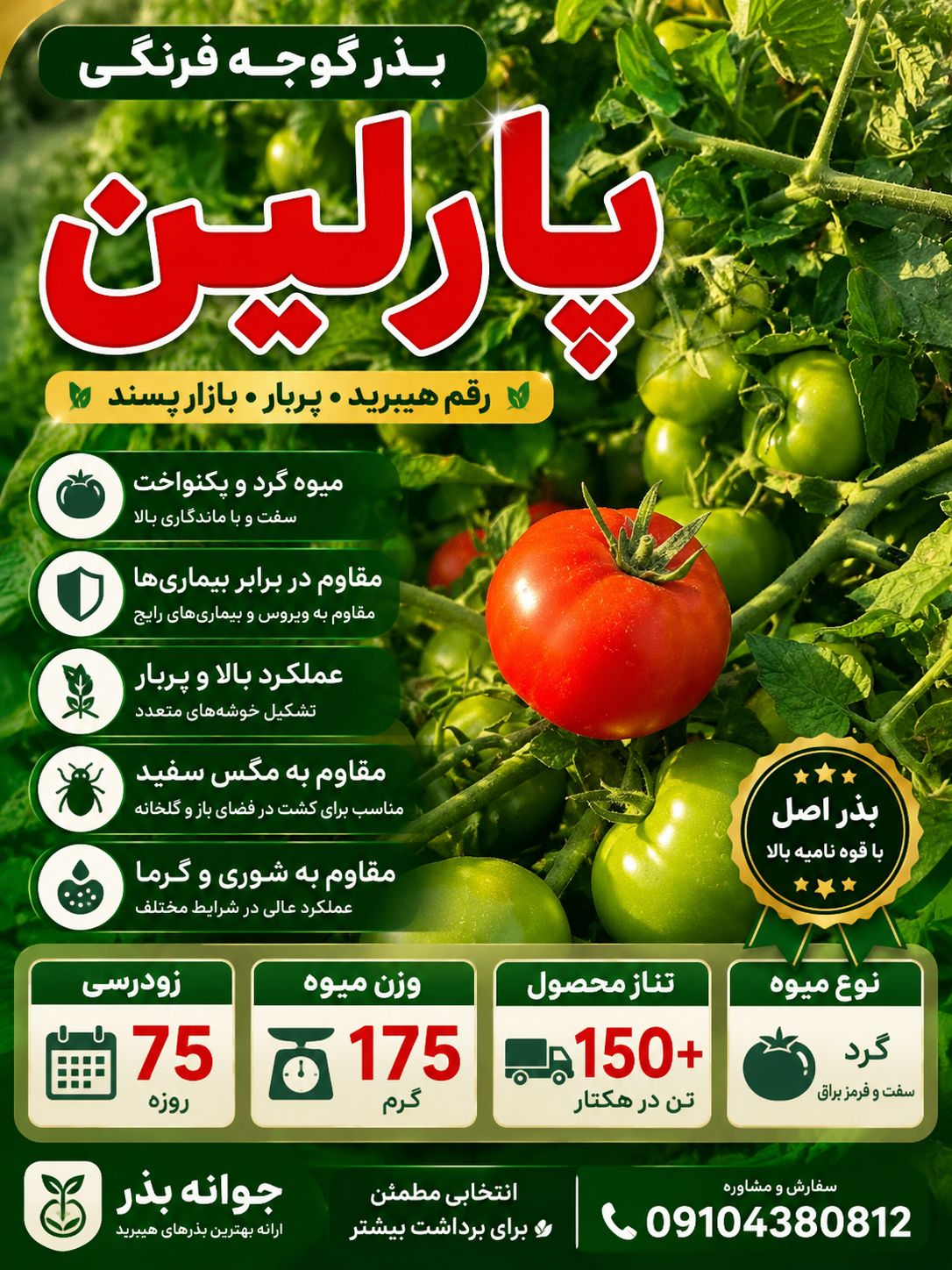 بذر گوجه فرنگی زودرس پارلین - جوانه اران بذر